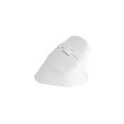 Natec CRAKE 2 Drahtlose Maus/Büro/Optisch/2 400 DPI/USB BT/Weiß/Vertikal/Optisch/Rechtshänder
