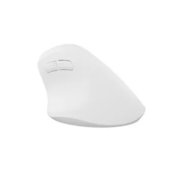 Natec CRAKE 2 Drahtlose Maus/Büro/Optisch/2 400 DPI/USB BT/Weiß/Vertikal/Optisch/Rechtshänder Natec CRAKE 2 Drahtlose Maus/Büro/Optisch/2 400 DPI/USB BT/Weiß/Vertikal/Optisch/Rechtshänder
