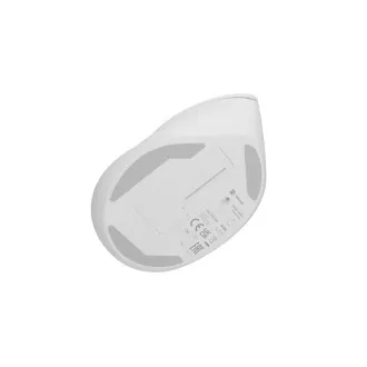 Natec CRAKE 2 Drahtlose Maus/Büro/Optisch/2 400 DPI/USB BT/Weiß/Vertikal/Optisch/Rechtshänder Natec CRAKE 2 Drahtlose Maus/Büro/Optisch/2 400 DPI/USB BT/Weiß/Vertikal/Optisch/Rechtshänder