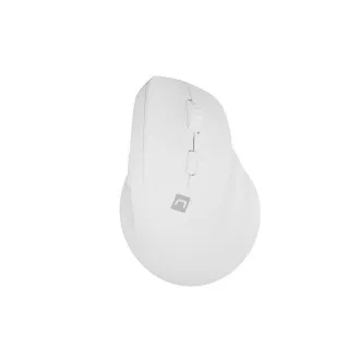 Natec CRAKE 2 Drahtlose Maus/Büro/Optisch/2 400 DPI/USB BT/Weiß/Vertikal/Optisch/Rechtshänder Natec CRAKE 2 Drahtlose Maus/Büro/Optisch/2 400 DPI/USB BT/Weiß/Vertikal/Optisch/Rechtshänder
