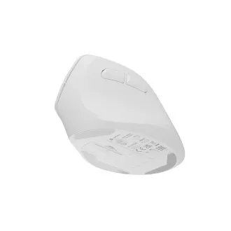 Natec CRAKE 2 Drahtlose Maus/Büro/Optisch/2 400 DPI/USB BT/Weiß/Vertikal/Optisch/Rechtshänder Natec CRAKE 2 Drahtlose Maus/Büro/Optisch/2 400 DPI/USB BT/Weiß/Vertikal/Optisch/Rechtshänder