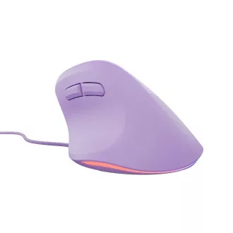 Natec CRAKE 2 PRO Vertikale Maus/Vertikal/Optisch/Rechtshänder/12 400 DPI/Drahtlos USB-A/Violett