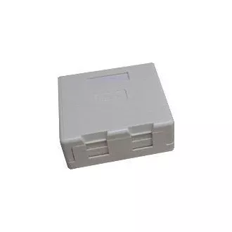 DATACOM Doppelsteckdose CAT5E UTP über Putz selbstschneidend weiß DATACOM Doppelsteckdose CAT5E UTP über Putz selbstschneidend weiß