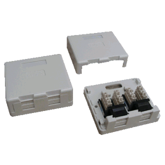 Doppelsteckdose CAT5E UTP Gipskarton (staubdicht) Doppelsteckdose CAT5E UTP Gipskarton (staubdicht)