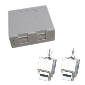 Doppelte Buchse CAT5E STP 2xRJ45 für Gipskarton Anti-Staub.