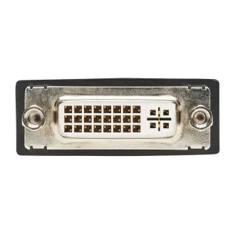 Video-Adapter DisplayPort / DVI (Stecker/Buchse), 15,2cm