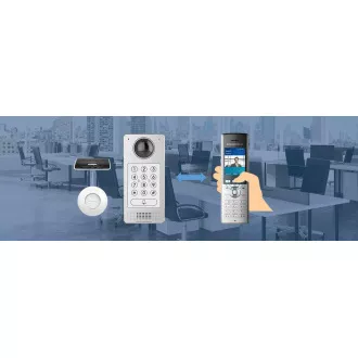 Grandstream WP820 WiFi IP-Telefon, 2,4" Bar-Display, 2SIP-Konten, Video, BT, Micro USB, Handover