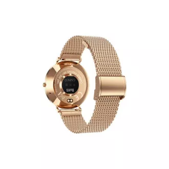 CARNEO Phoenix HR  2. Generation/41mm/Gold/Elegantes Band/Gold