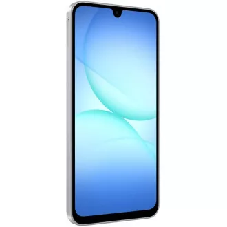 Samsung Galaxy A17 LTE/4GB/128GB/Grau