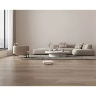 Xiaomi Saugroboter S10  EU