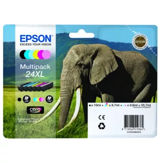 Epson T2438 (C13T24384011) - Tintenpatrone, black + color (schwarz + farbe)