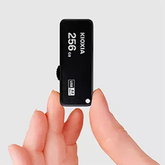 Kioxia USB-Stick, USB 3.0, 256GB, Yamabiko U365, Yamabiko U365, schwarz, LU365K256GG4 Kioxia USB-Stick, USB 3.0, 256GB, Yamabiko U365, Yamabiko U365, schwarz, LU365K256GG4