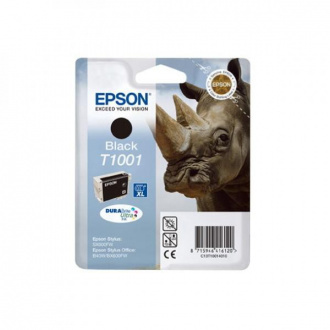 Epson T1001 (C13T10014010) - Tintenpatrone, black (schwarz)