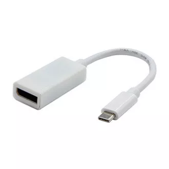 USB/Video Konverter, DP Alt Mode, USB C Stecker - DisplayPort Buchse, weiß, 4K2K@30Hz 65507, SELL OUT USB/Video Konverter, DP Alt Mode, USB C Stecker - DisplayPort Buchse, weiß, 4K2K@30Hz 65507, SELL OUT