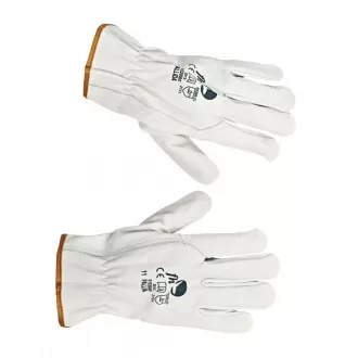 PALLIDA FH Volllederhandschuhe