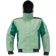 DAYBORO Pilot