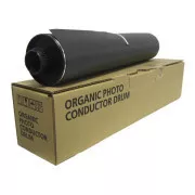 Ricoh D0099510 - toner, black (schwarz )